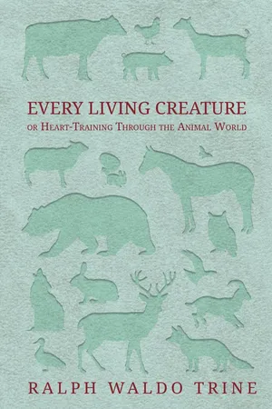 Every Living Creature - or Heart-Training Through the Animal World