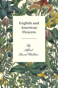 English and American Flowers_cover