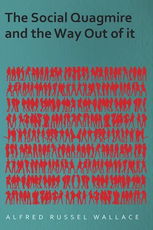 The Social Quagmire and the Way Out of it