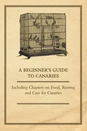 A Beginner's Guide to Canaries - Including Chapters on Food, Rearing and Care for Canaries