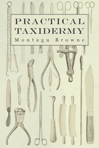 Practical Taxidermy_cover