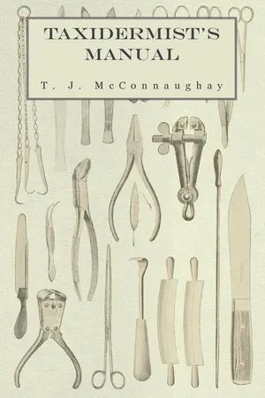 Taxidermist's Manual
