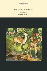 The Animal Why Book - Pictures by Edwin Noble_cover