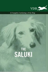 The Saluki - A Complete Anthology of the Dog_cover