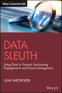 Data Sleuth_cover
