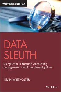 Data Sleuth_cover