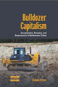 Bulldozer Capitalism_cover