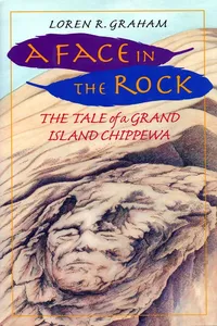 A Face in the Rock_cover