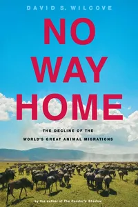 No Way Home_cover