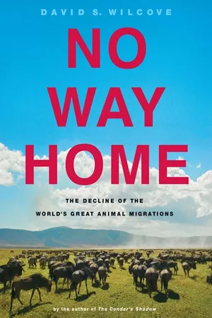 No Way Home