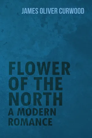 Flower of the North: A Modern Romance