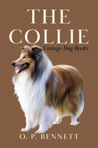 The Collie_cover