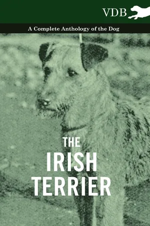 The Irish Terrier - A Complete Anthology of the Dog
