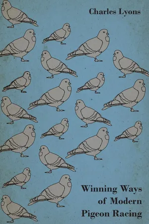 Winning Ways of Modern Pigeon Racing