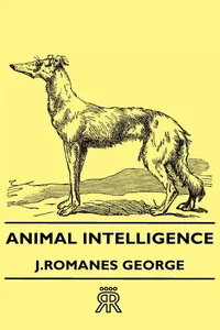 Animal Intelligence_cover