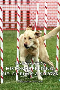 Labradors - History, Breeding, Field Trials & Shows_cover