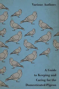 A Guide to Keeping and Caring for the Domesticated Pigeon_cover