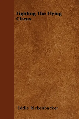 Fighting the Flying Circus