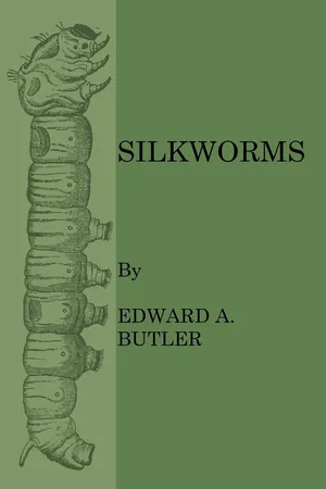 Silkworms