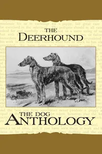 The Deerhound - A Dog Anthology_cover