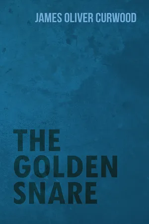 The Golden Snare