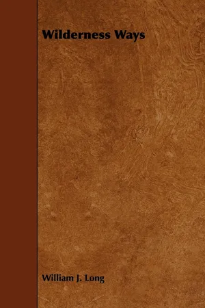 Wilderness Ways