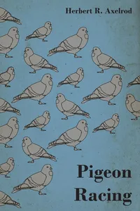 Pigeon Racing_cover