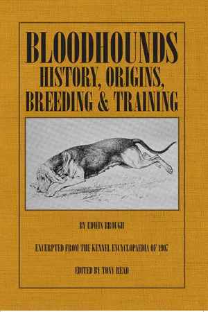 Bloodhounds: History - Origins - Breeding - Training