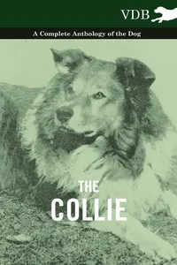 The Collie - A Complete Anthology of the Dog -_cover