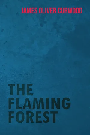 The Flaming Forest
