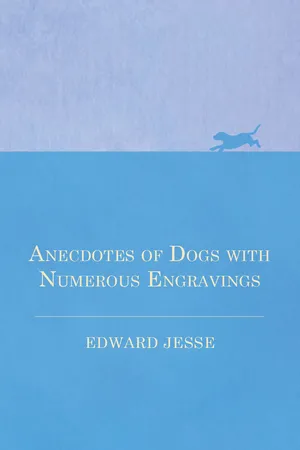 Anecdotes of Dogs with Numerous Engravings