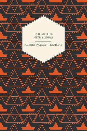Dog of the High Sierras