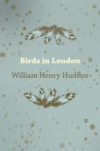 Birds in London_cover