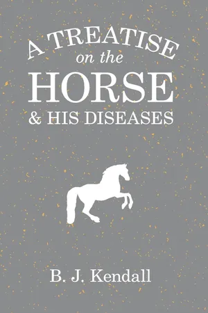 A Treatise on the Horse and His Diseases
