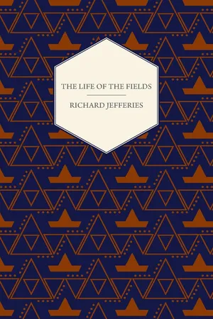 The Life of the Fields