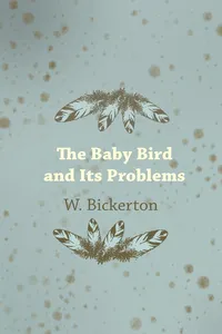 The Baby Bird and Its Problems_cover