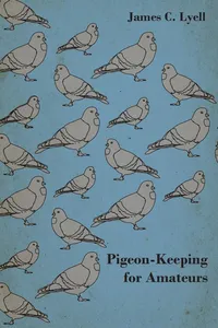 Pigeon-Keeping for Amateurs - A Complete and Concise Guide to the Amateur Breeder of Domestic and Fancy Pigeons_cover