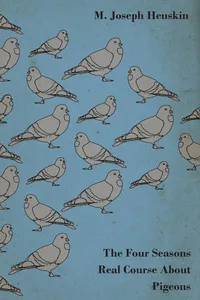 The Four Seasons Real Course About Pigeons_cover