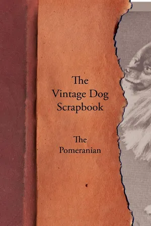 The Vintage Dog Scrapbook - The Pomeranian