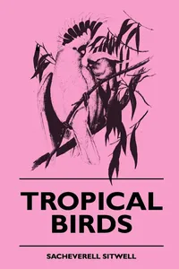 Tropical Birds_cover