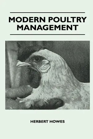 Modern Poultry Management