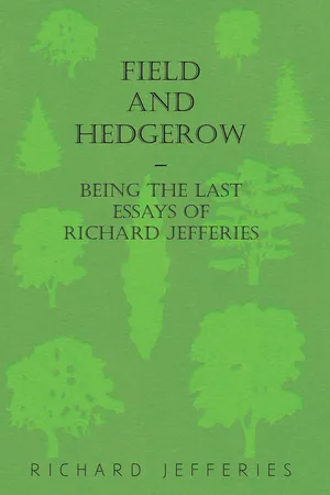 Field and Hedgerow - Being the Last Essays of Richard Jefferies