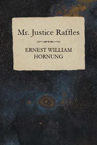 Mr. Justice Raffles_cover