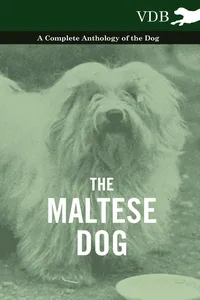 The Maltese Dog - A Complete Anthology of the Dog_cover