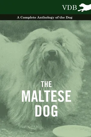 The Maltese Dog - A Complete Anthology of the Dog