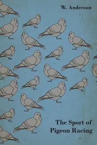 The Sport of Pigeon Racing_cover