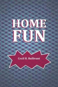 Home Fun_cover