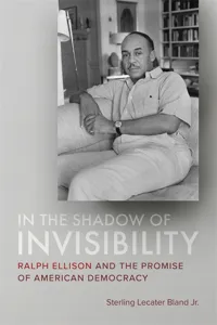 In the Shadow of Invisibility_cover