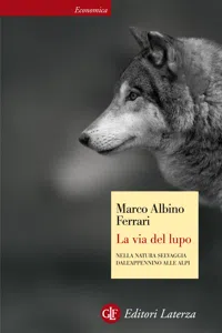 La via del lupo_cover