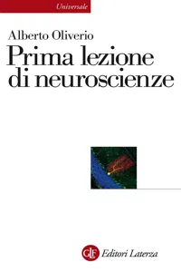 Prima lezione di neuroscienze_cover